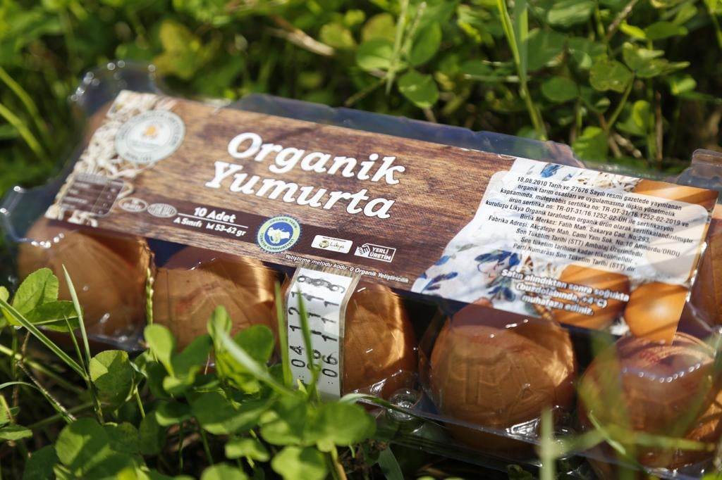 BAE’NİN YUMURTALARI ORDU’DAN